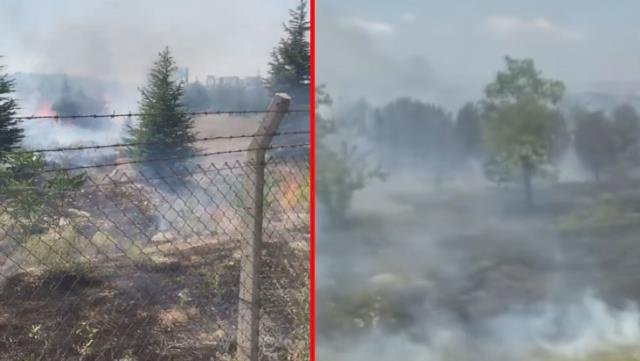 Ankara'da Atatürk Orman Çiftliği'nde korkutan yangın!